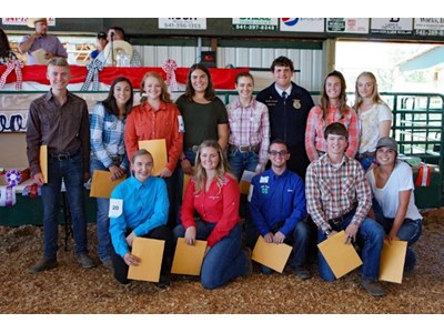 Auction Photo