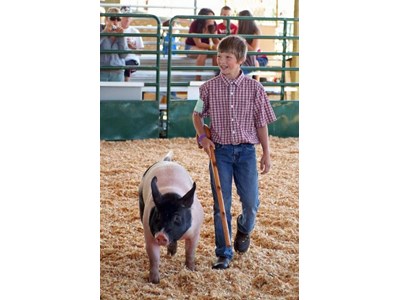 Auction Photo