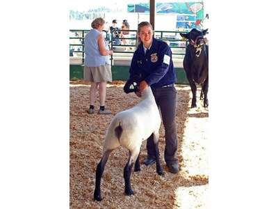 Auction Photo